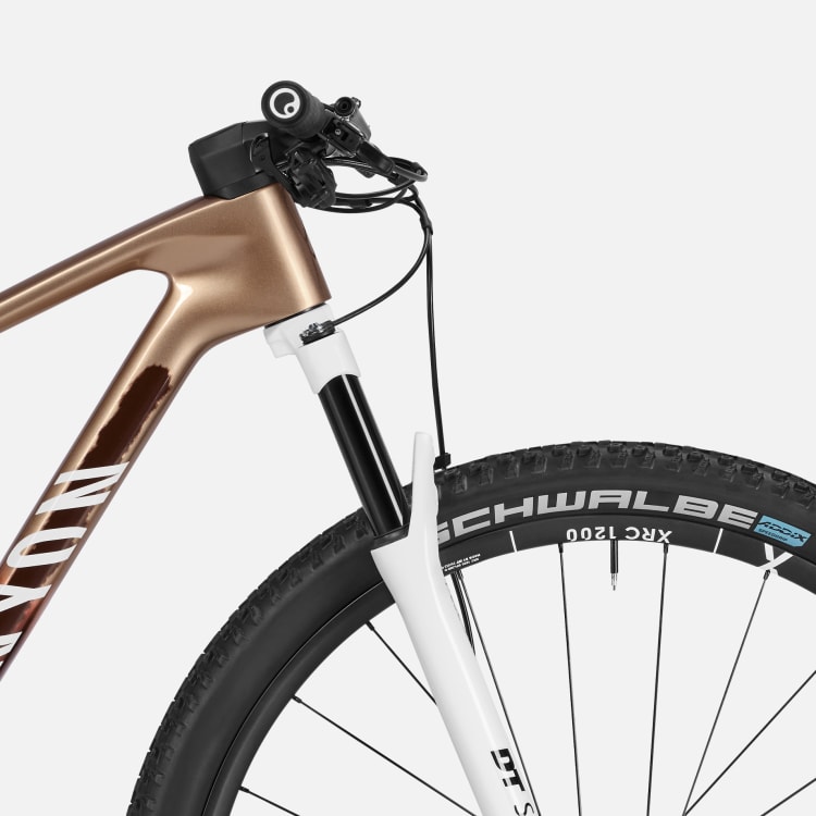 Lux World Cup CFR Untamed