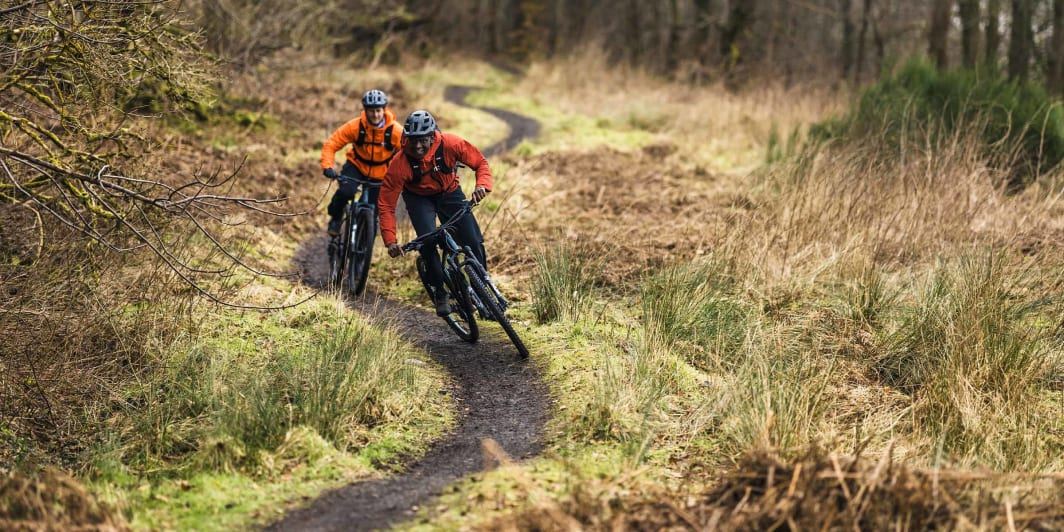 Mountain Bike vs. Hybrid Bike
