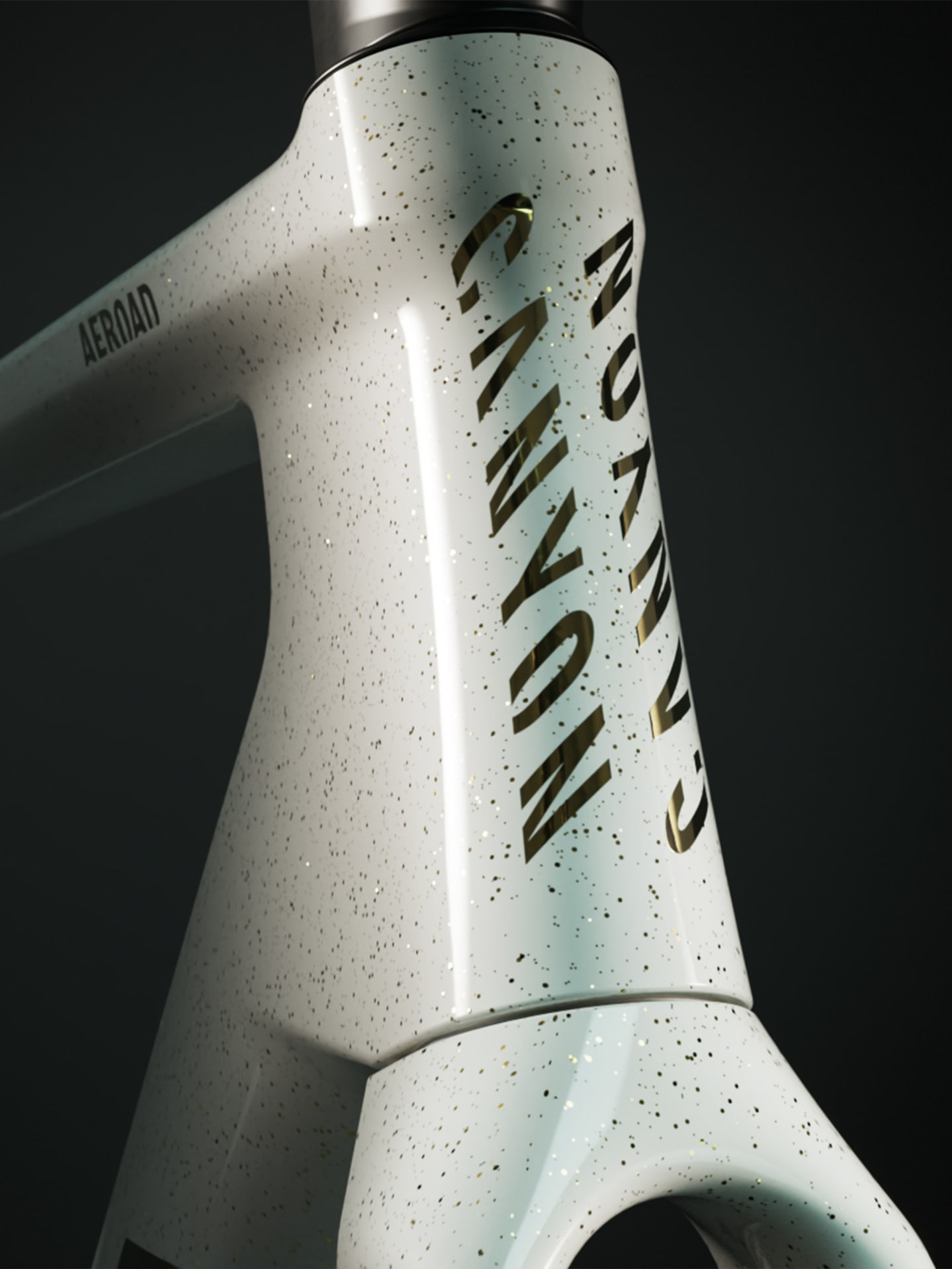 Dream bikes born here