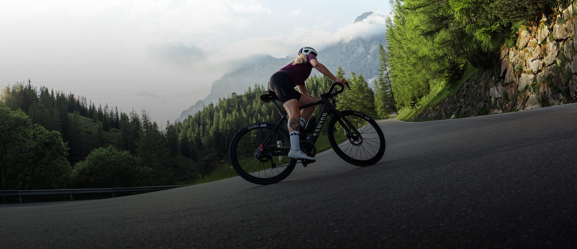 Canyon Endurace:ONfly