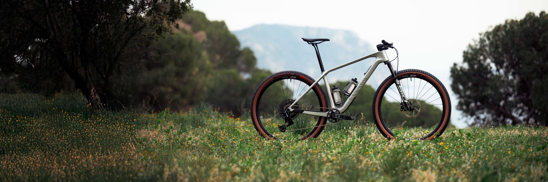 Canyon Exceed