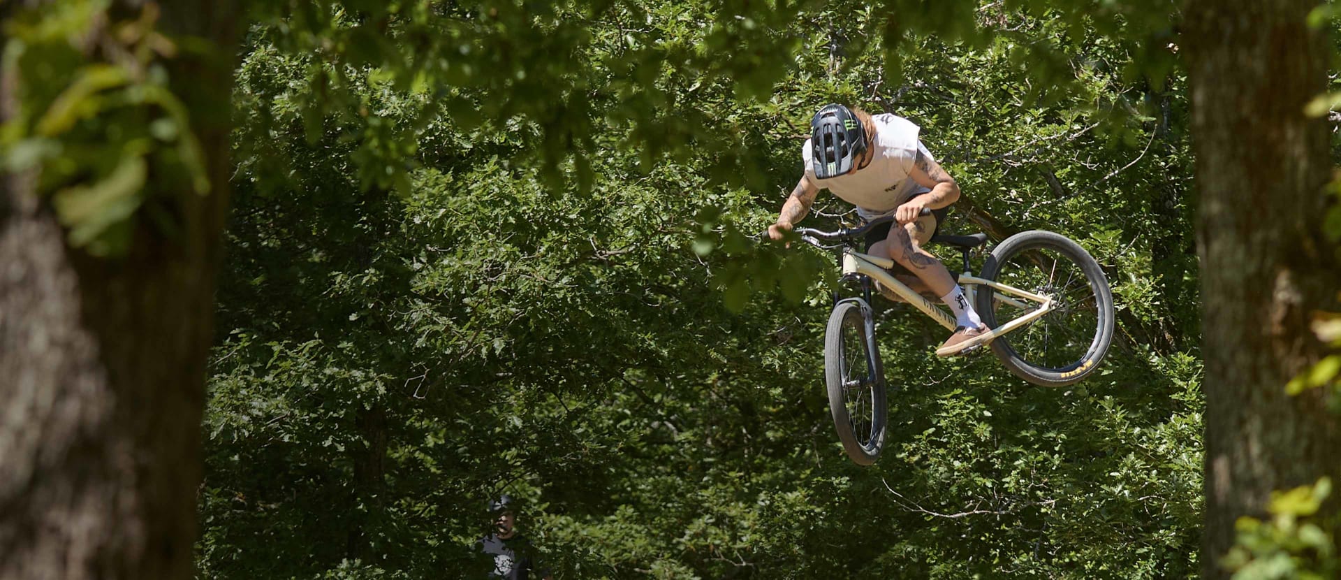 Canyon Dirt Jump/Street Bikes