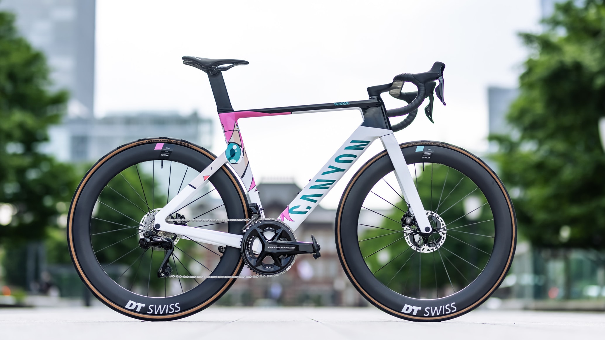 MyCanyon：カスタマイズのアイコン