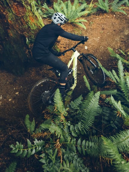 Achetez un vélo de Trail