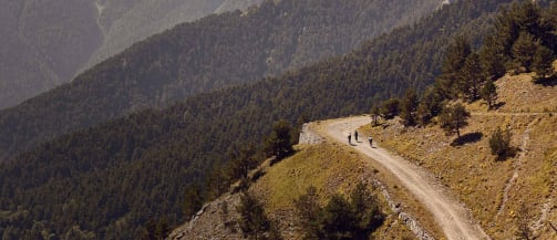 Gravel Bikes