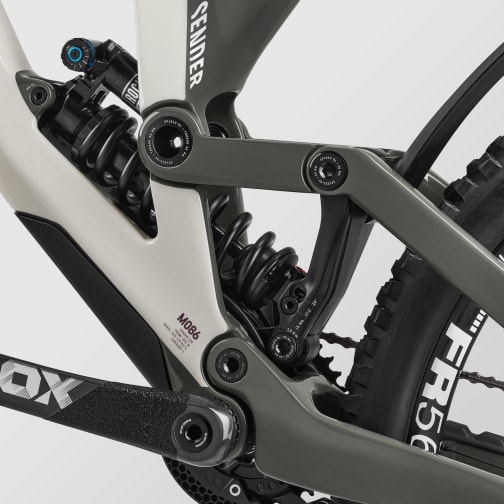 Sender CFR Mullet LTD