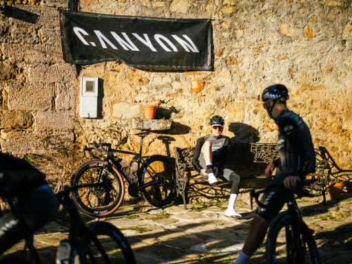 Lerne die Wildcards kennen