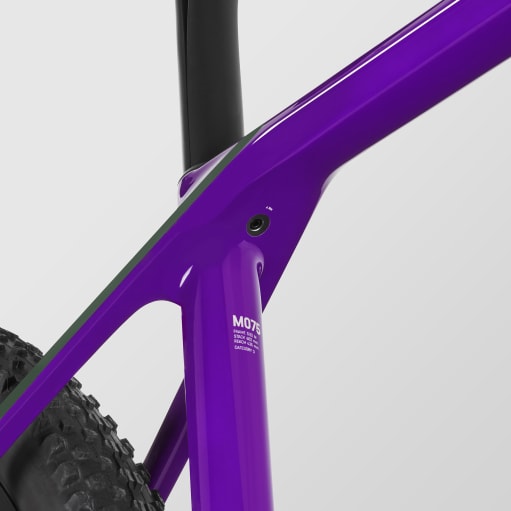 Exceed CF SLX CLLCTV