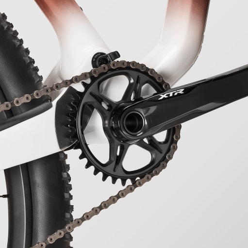 Lux World Cup CFR Untamed