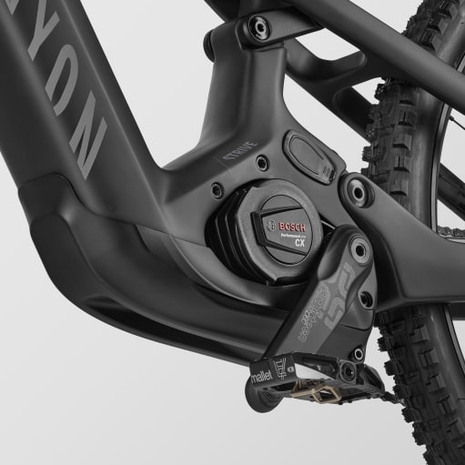 Strive:ON CFR Underdog