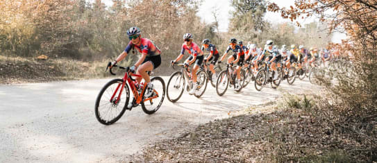 Ofertas Spring Classics