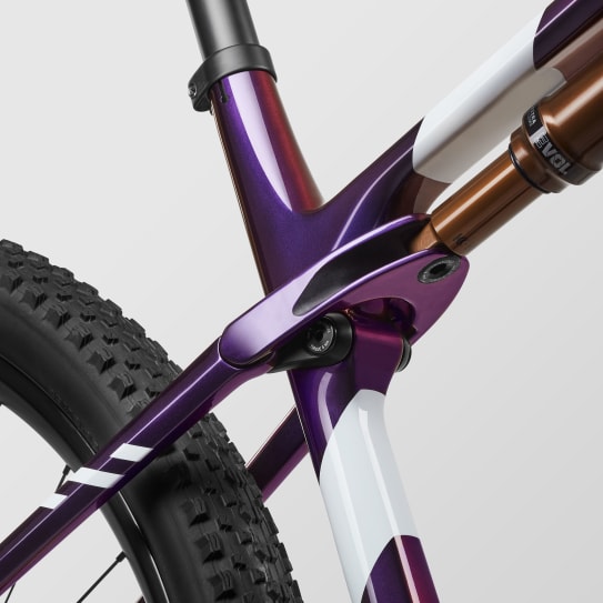 Lux World Cup CFR Team