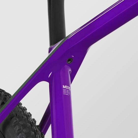 Exceed CF SLX CLLCTV