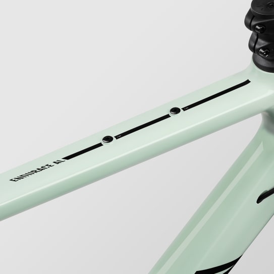 Endurace 7 RAW