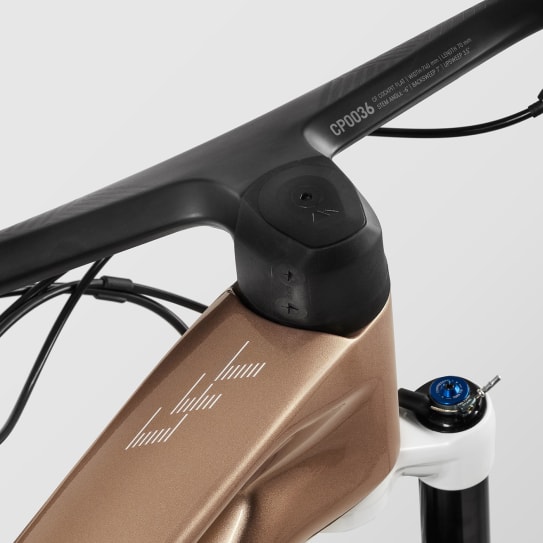 Lux World Cup CFR Untamed