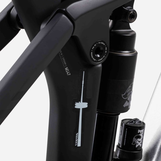 Canyon CLLCTV Sticker Set