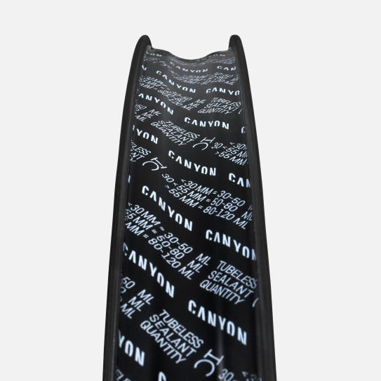 Canyon XC 30 CF Wheelset