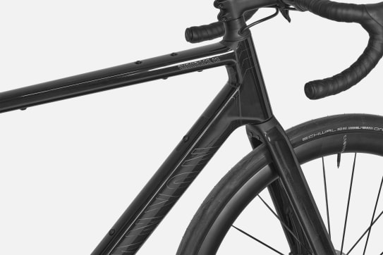 Canyon Endurace CF Protection Foil Set