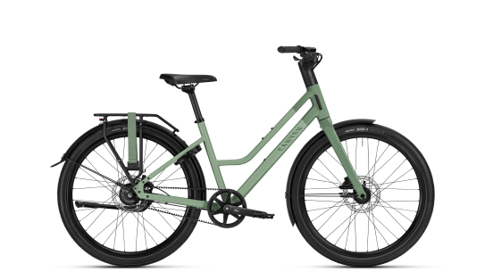 Oferta del d&iacute;a: Citylite step-through
