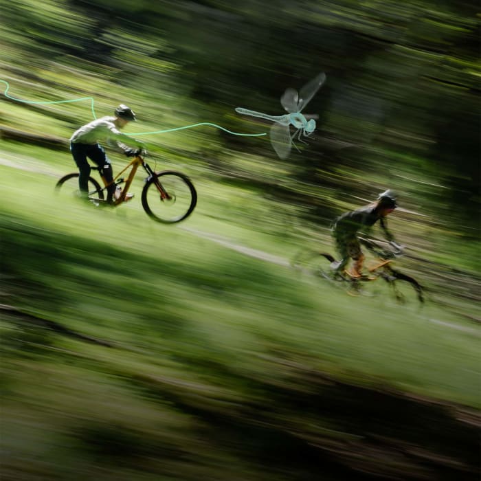 Tailwind Technology