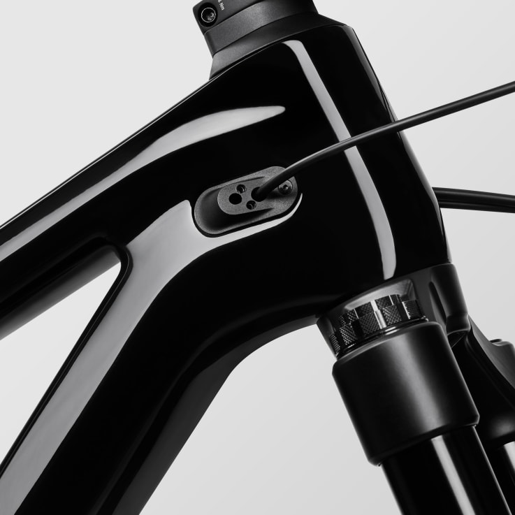 Canyon Torque Mullet Mullet CF 7 SRAM GX Eagle 35