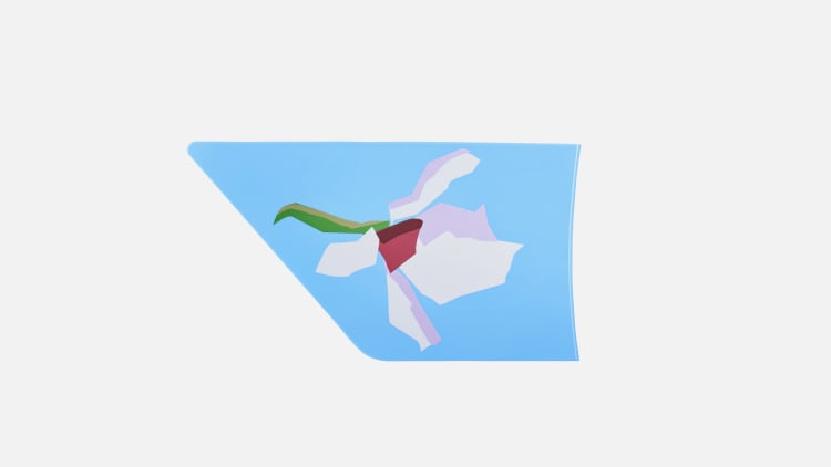 Canyon EP1088-01 Speedmax BB-Box Cover "XL"