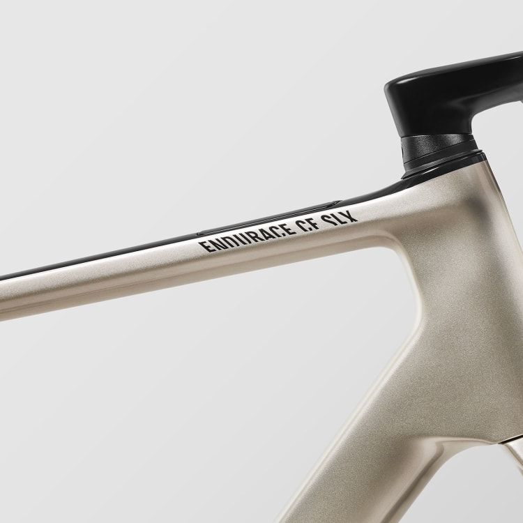 Endurace CF SLX 8 Di2