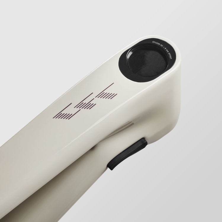 Sender CFR Mullet LTD