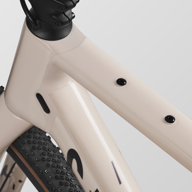 Canyon Grizl Protection Foil Set
