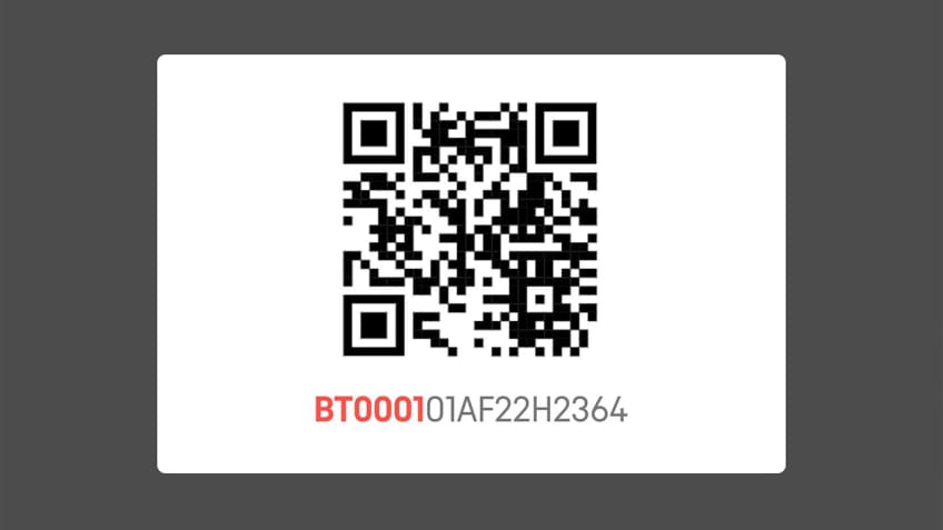 Battery model number starting BT0001