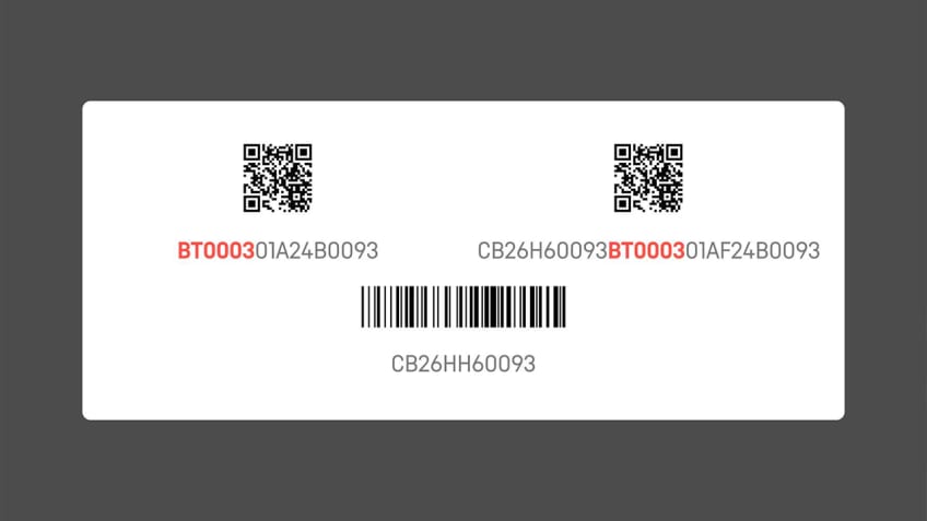Battery model number starting BT0003