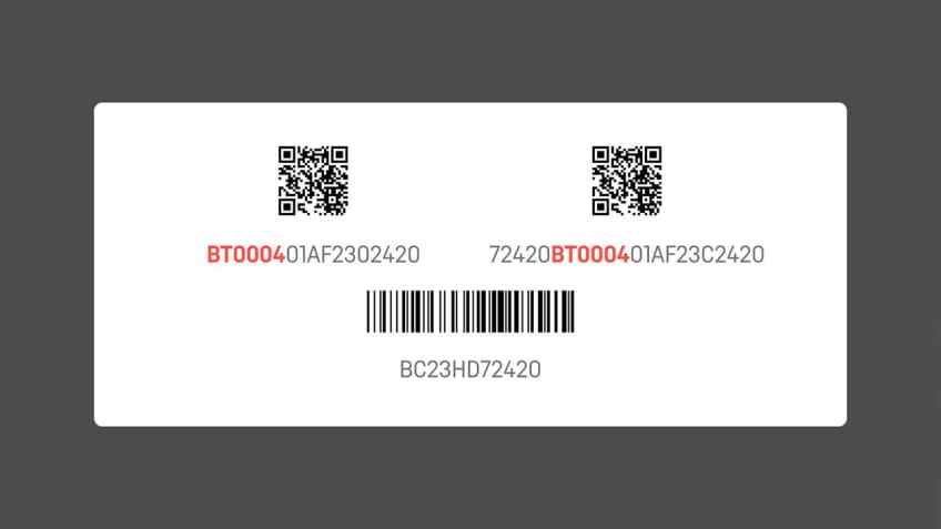Battery model number starting BT0004