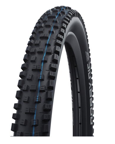 Schwalbe Racing Ray 29