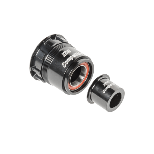 DT Swiss Ratchet EXP freehub conversion kit for SRAM XD, 142 / 12 mm or