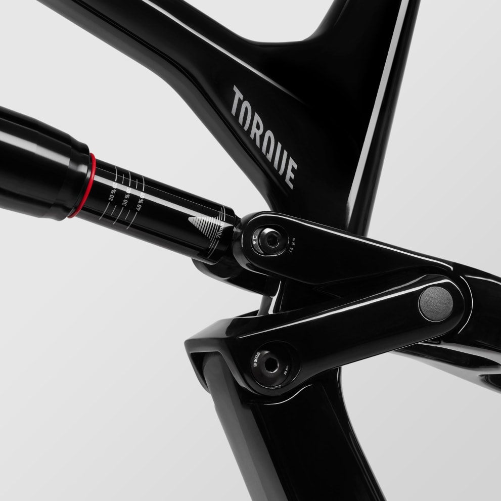 Canyon Torque Mullet Mullet CF 7 SRAM GX Eagle 15