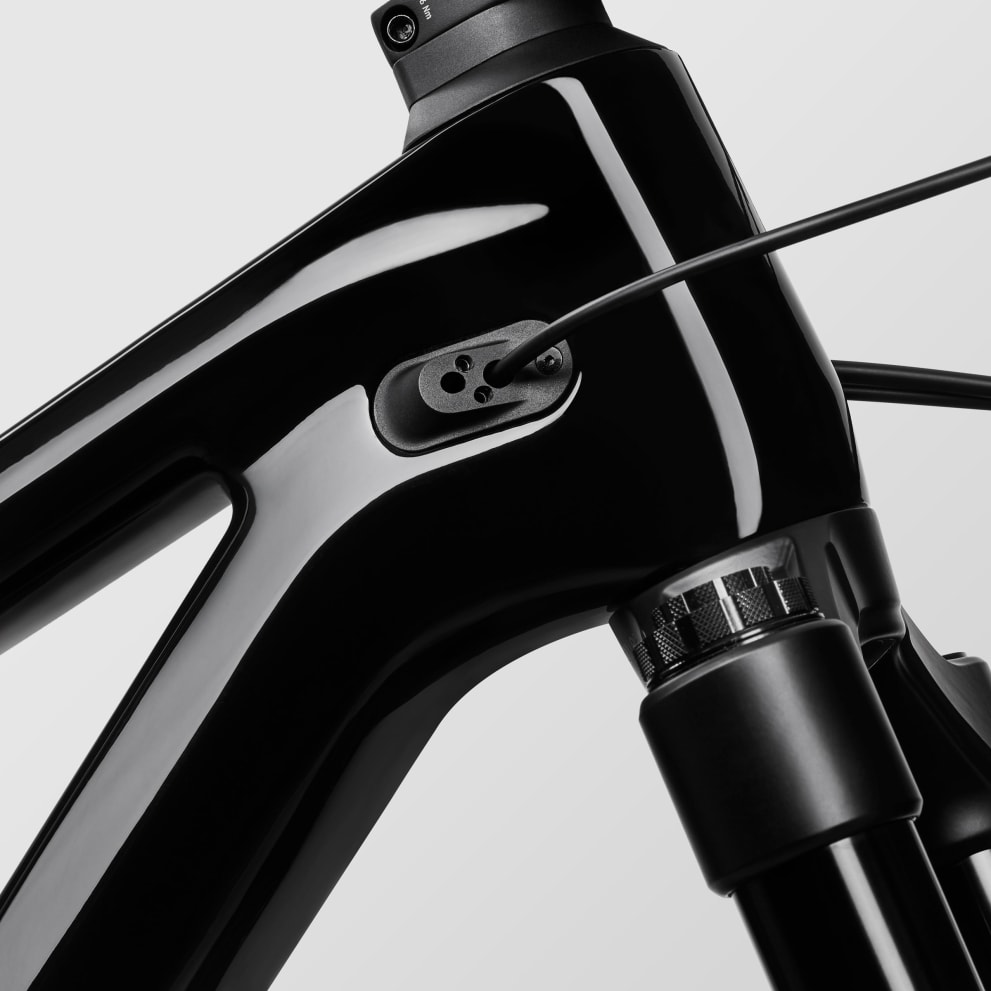 Canyon Torque Mullet Mullet CF 7 SRAM GX Eagle 20